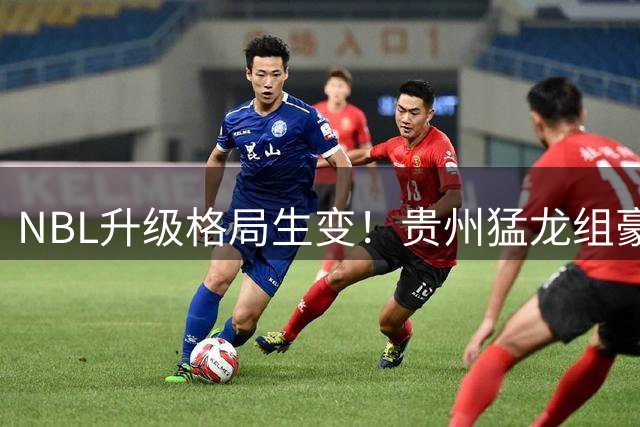 NBL升级格局生变！贵州猛龙组豪华阵容剑指CBA 丁彦雨航幕后发力